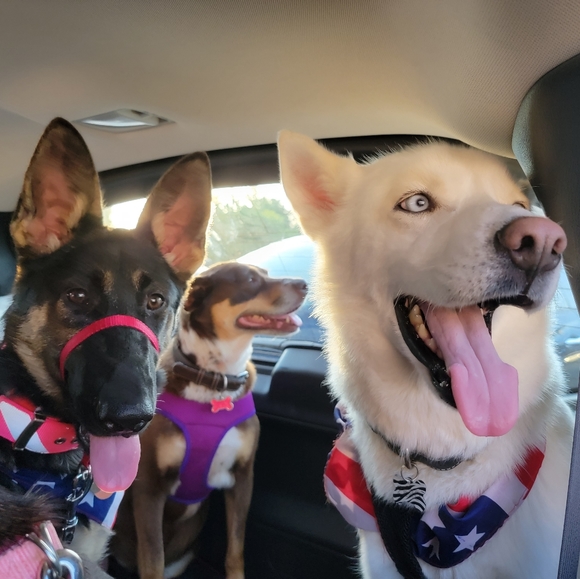 Meet your Posher, Karen - Picture 3 of 4